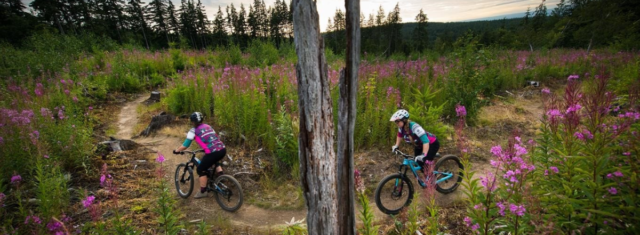 Northwest Washington