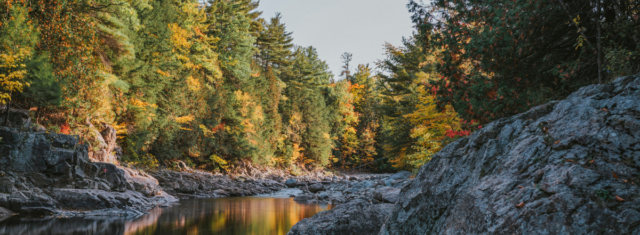Northern New York State